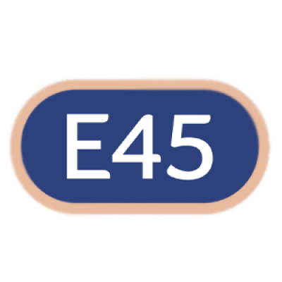 E45