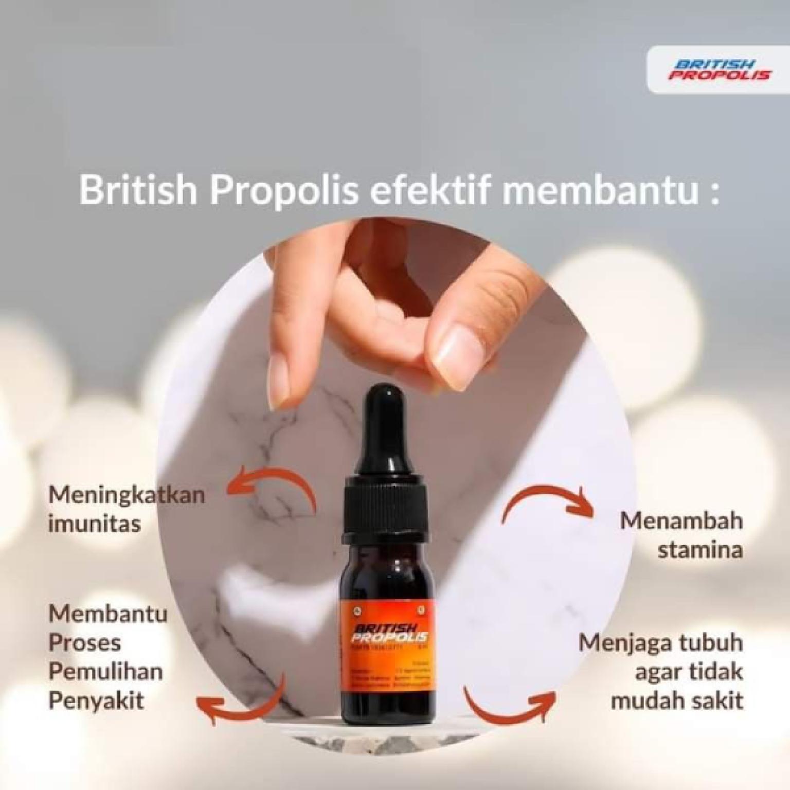 proimg/108838/4.jpg